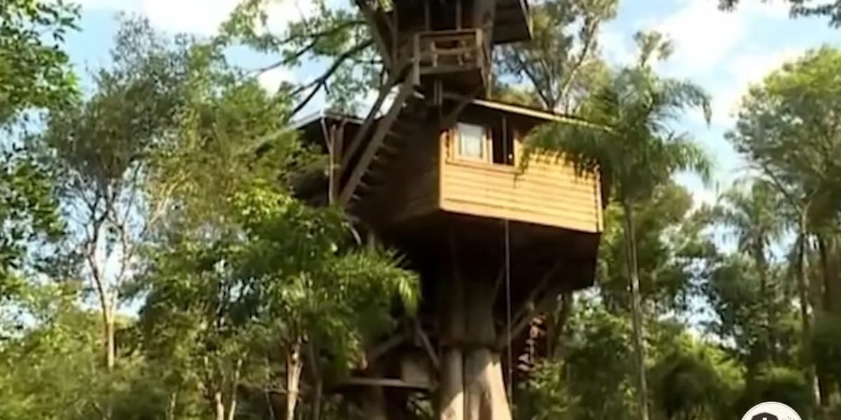 Fazenda Galvão Bueno (Reprodução: Youtube)