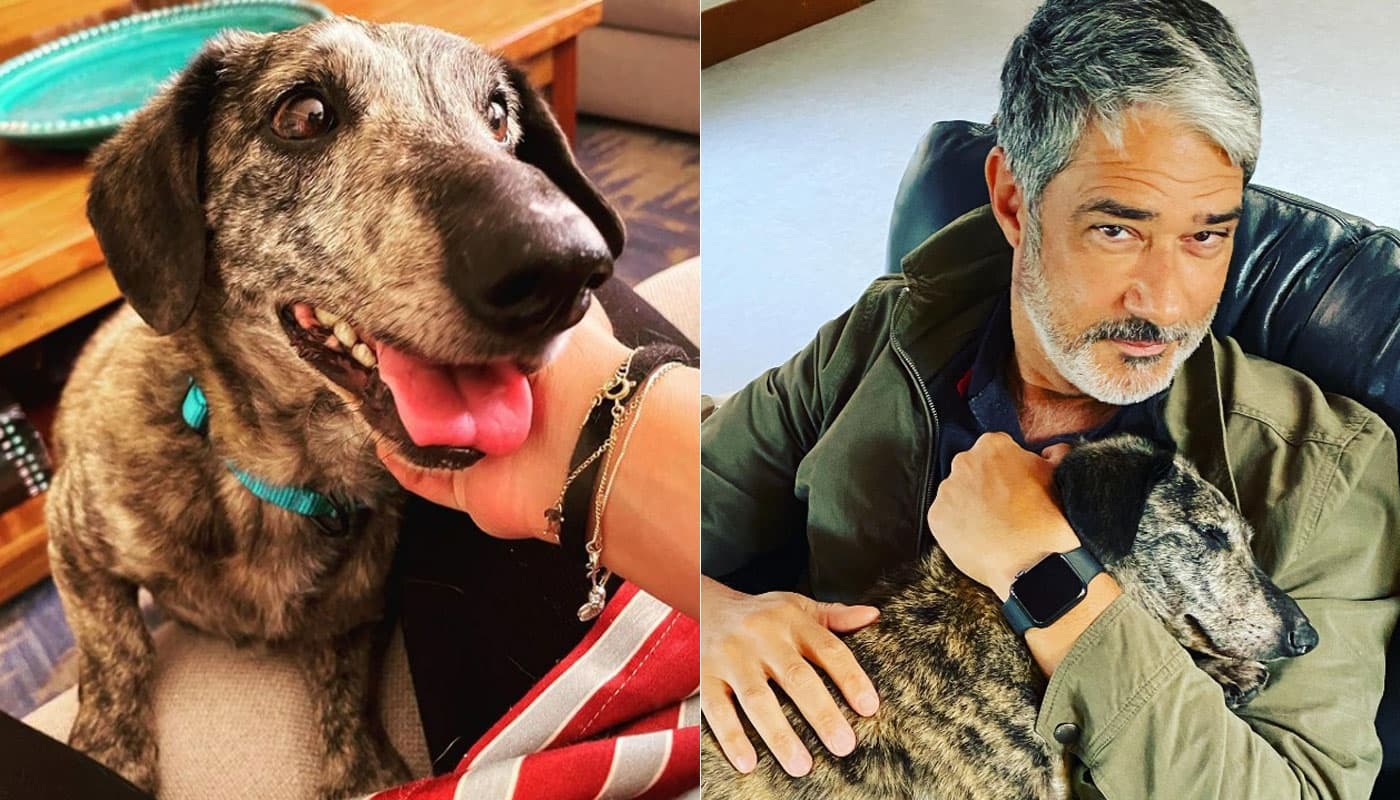 Imagem do post Imagem do post