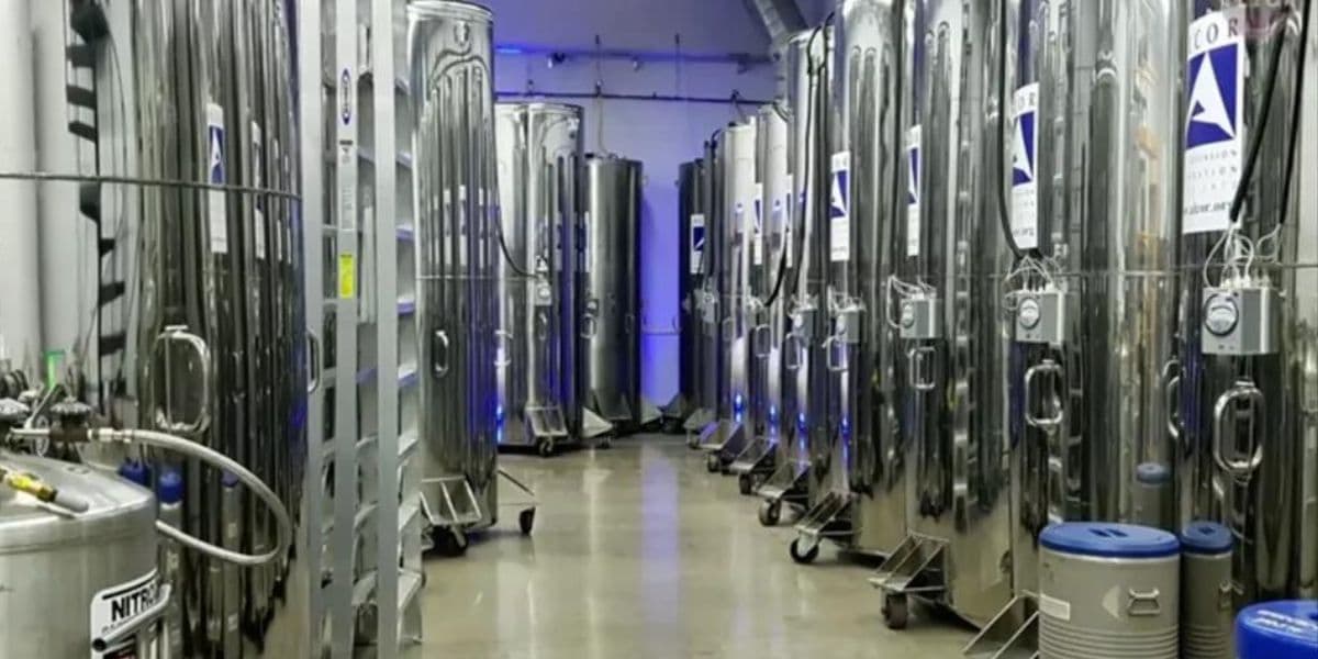 Alcor preserva 350 mortos (Foto: Reprodução / BBC)