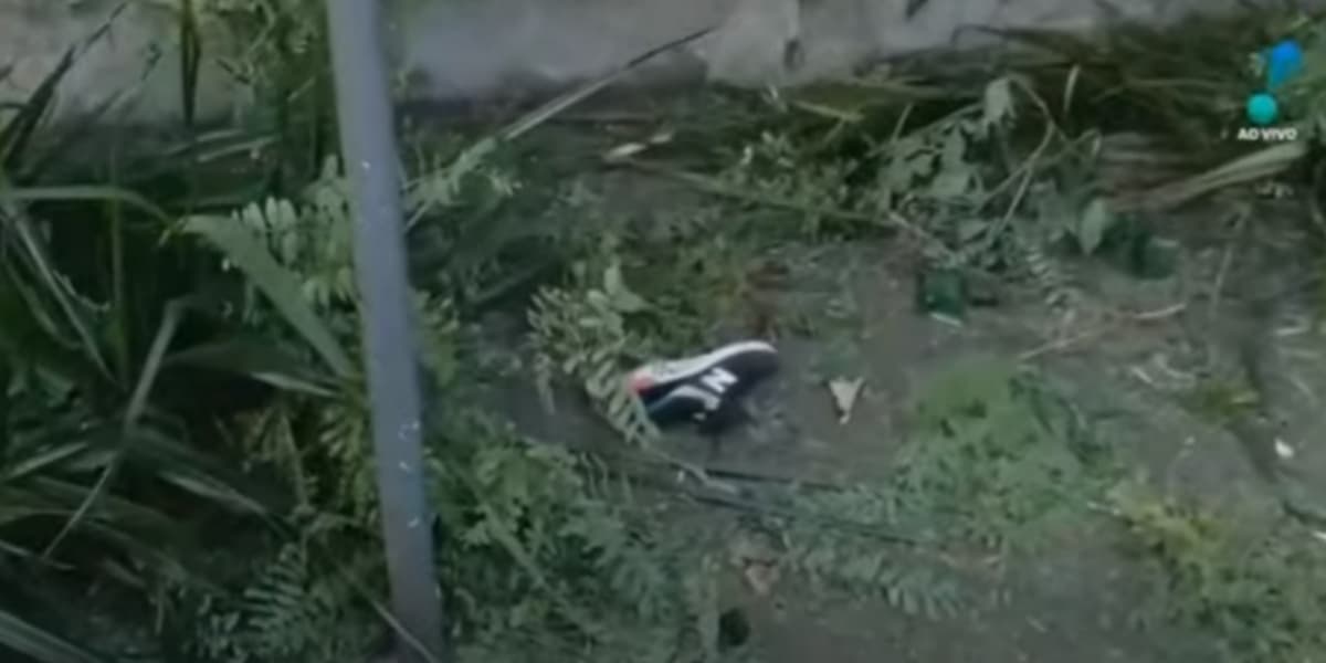 Imagem de acidente de helicóptero mostrado no "A Tarde é Sua" (Foto: Reprodução/RedeTV!)