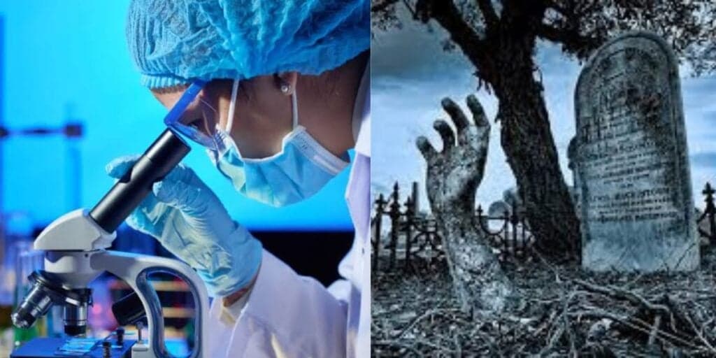 Cientistas manipulam DNA e revelam sobre trazer ser vivo de 10 mil anos atrás de volta à vida