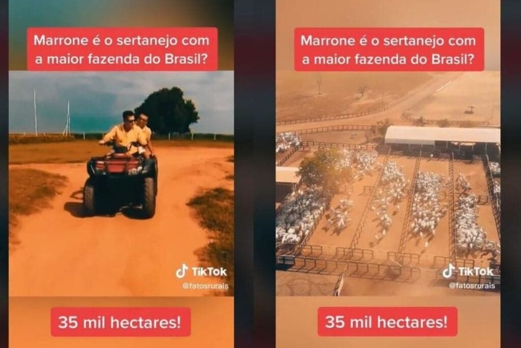 Fazenda do cantor Marrone (Foto: Reprodução, TikTok)