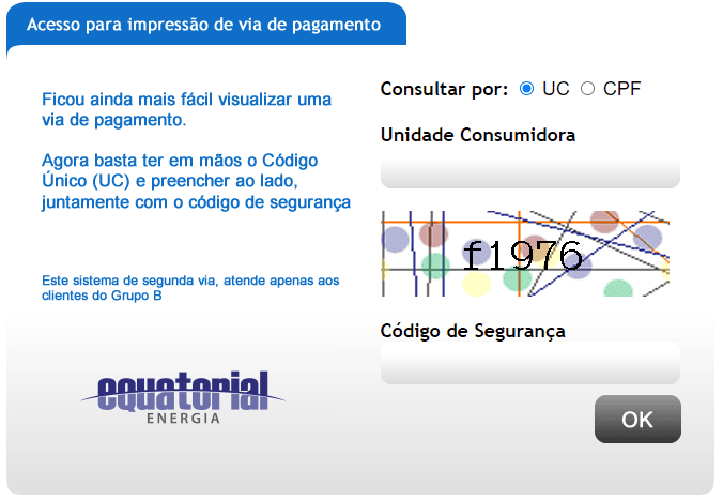 Site para receber a segunda via (Foto: Reprodução/ Internet)