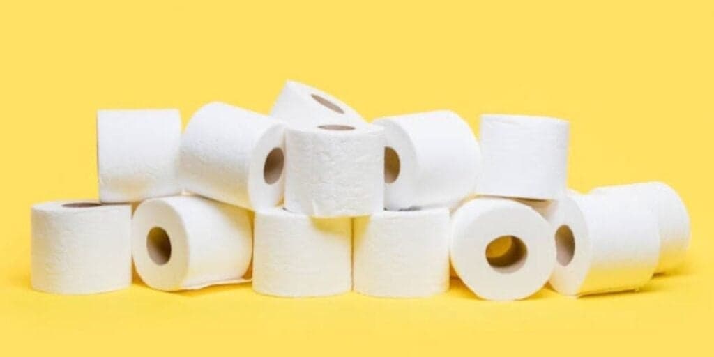 Acredite se quiser, tomar ESTA atitude com o papel higiênico na sua casa MUDARÁ sua vida