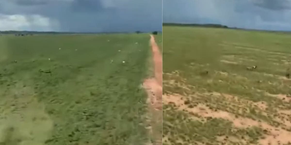 O espaço de área verde é gigante da fazenda da dupla de Cristiano (Reprodução: Youtube)