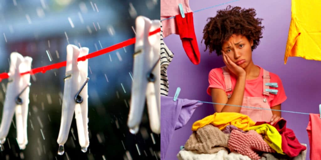 Fedendo a cachorro molhado? Isso que você deve fazer se suas roupas pegarem chuva no varal