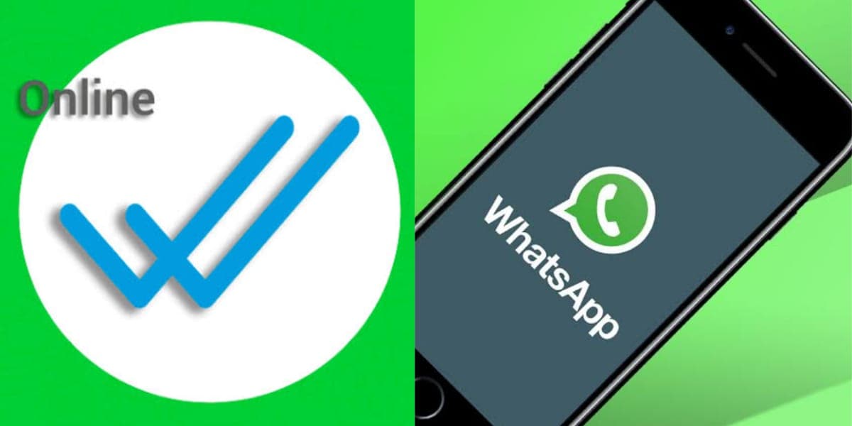 Como descobrir status online no WhatsApp (Reprodução: Montagem TV Foco)
