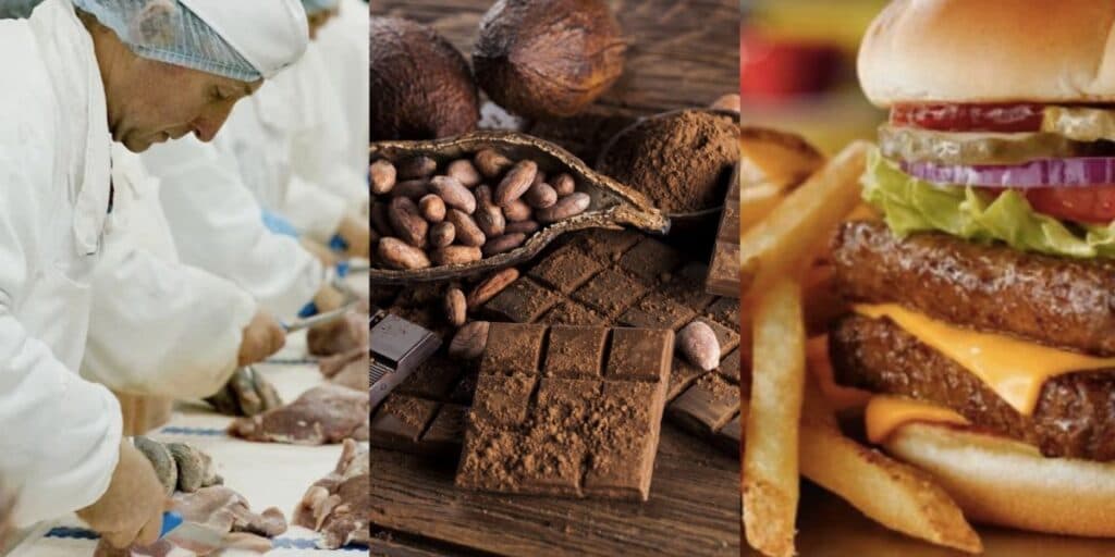 A falência bomba de empresa alimentícia - 7 chocolates que você amava extintos - Empresa para produção