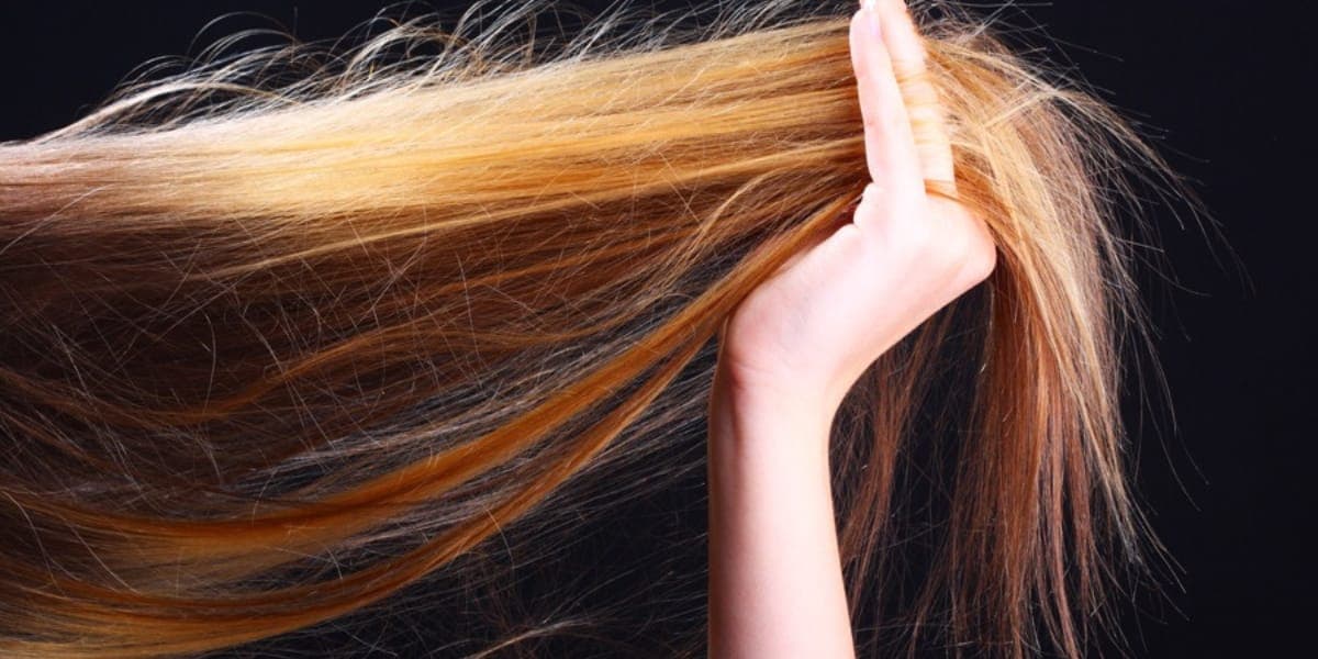 Assim é um cabelo com frizz (Reprodução: Internet)