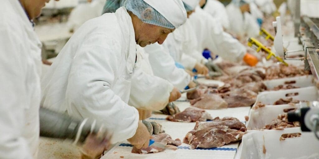 Dívida de R$1 bilhão e falência decretada: O dia bomba em que empresa alimentícia gigante chegou ao fim