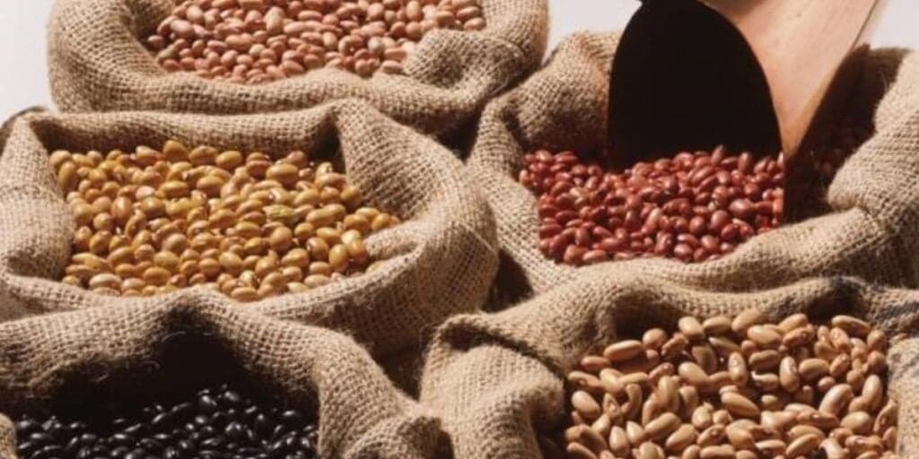 Famosa marca de feijão é recolhida às pressas do mercado após grãos serem encontrados com absurdo