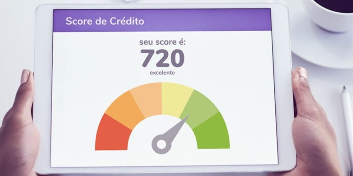 O score pode variar entre 0 e 1000, quanto maior, mais possibilidade de conseguir um crédito (Reprodução: Internet)