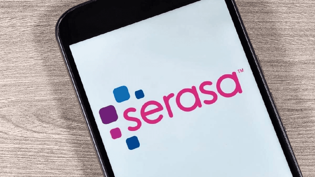 Aplicativo do Serasa (Foto: Reprodução/ Internet)