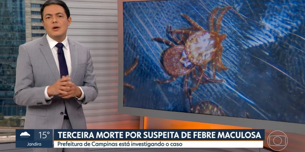 Carrapatos podem ter causado morte de paulistas (Foto: Reprodução/TV Globo)