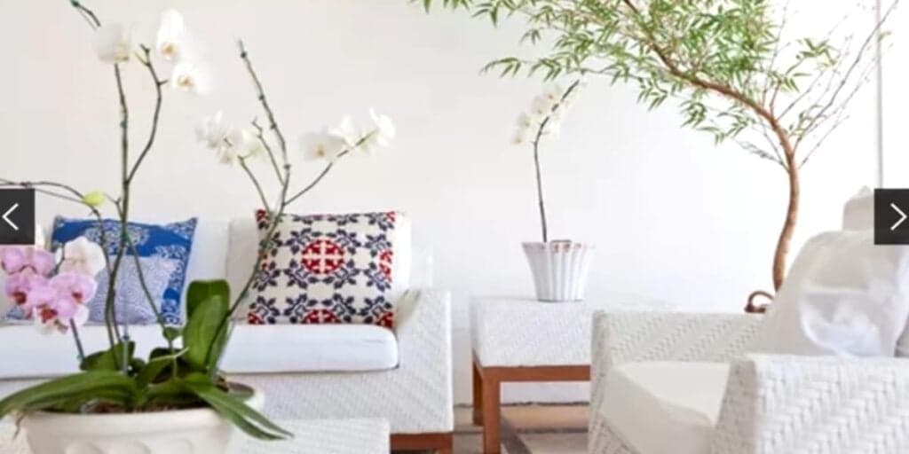 Decoração simples e cheia de plantas pela casa (Reprodução: Youtube)