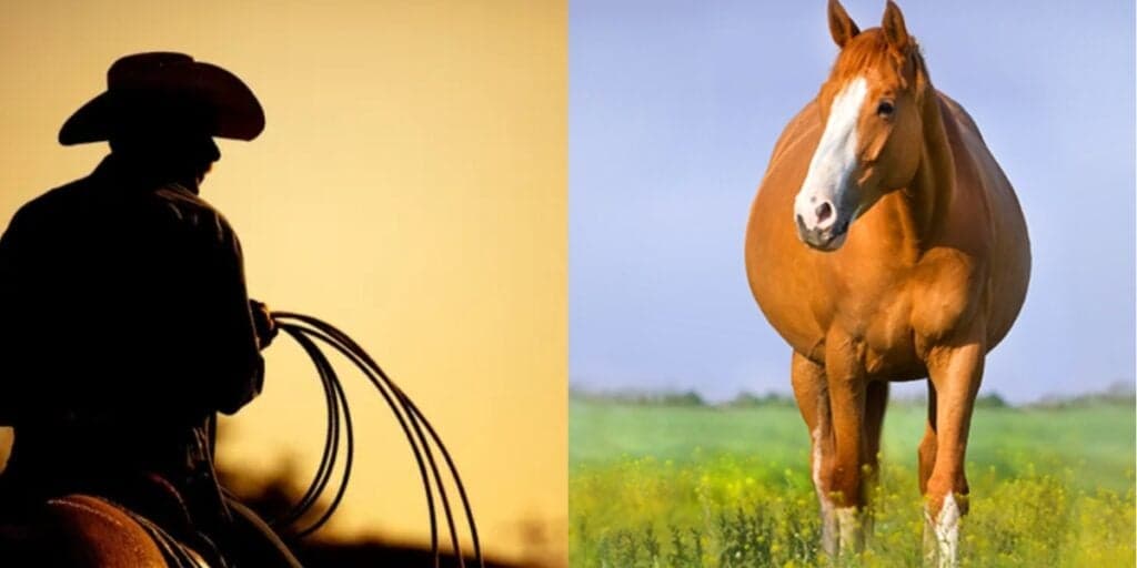 Sex0 com animal: O escândalo de sertanejo famoso após assumir relação com égua e sentir ciúmes