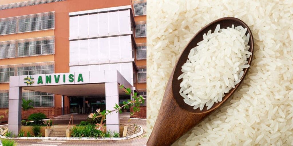 Erro GRAVE: A proibição de marca de arroz querida no Brasil após vender produto com larvas