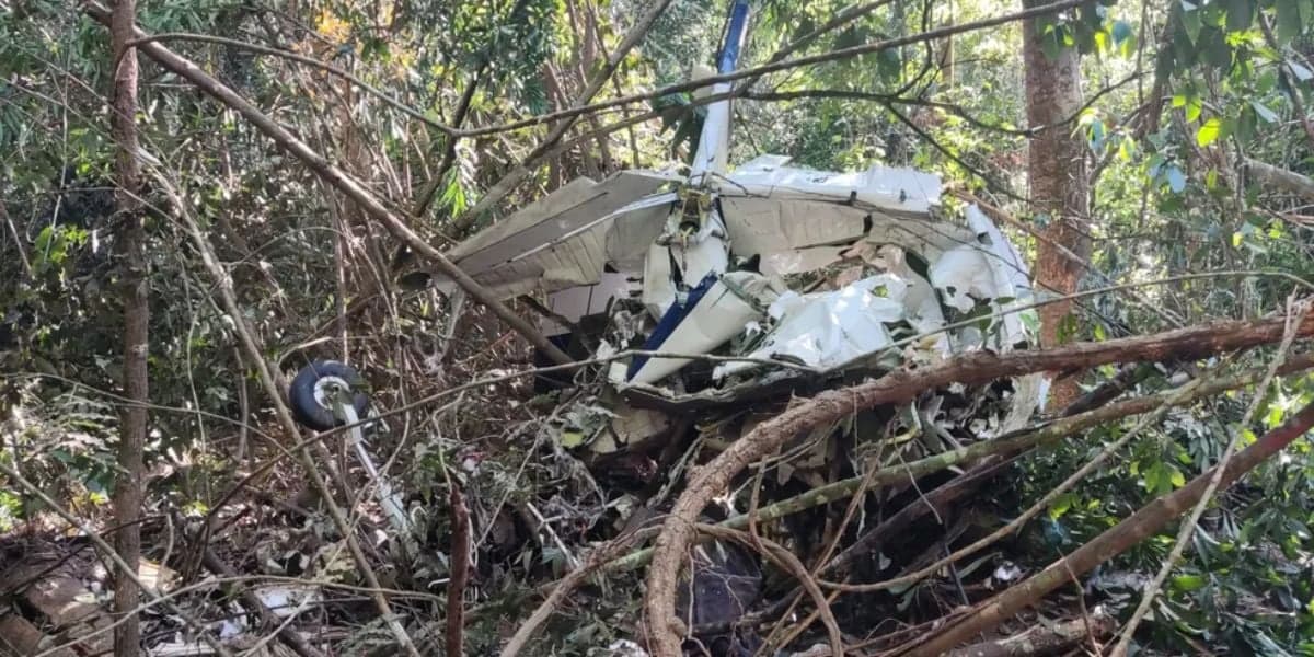 Avião que estava pai e filho foi encontrado no último domingo (30) (Reprodução: Internet)