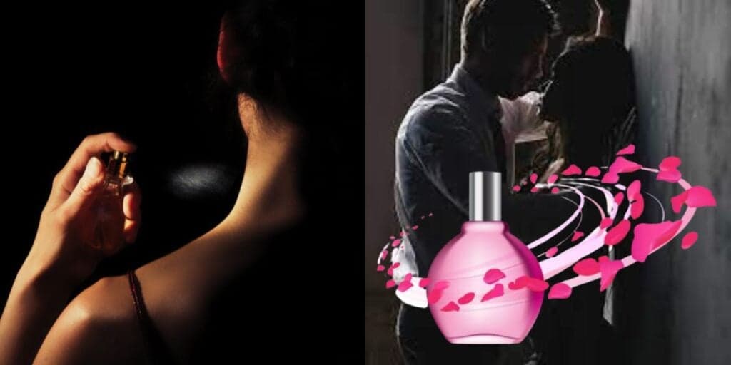 3 perfumes nacionais que arrancam elogios dos homens e deixarão eles de quatro por você