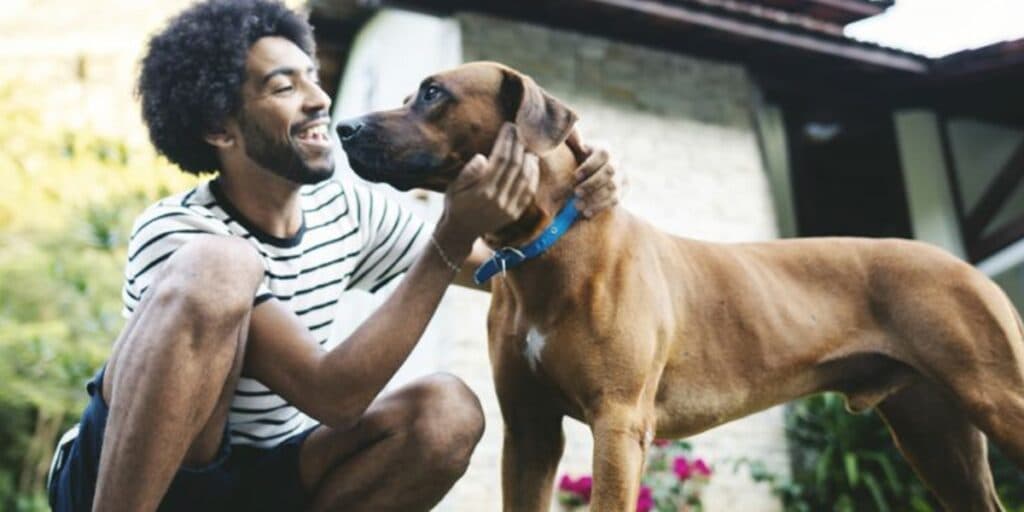 Vitória: Nova lei chega para todos aqueles que são país e mães de animalzinhos com direito a folga