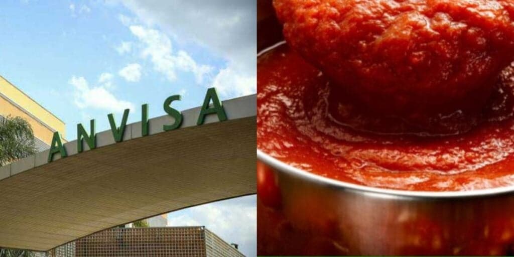 Venda proibida e contaminação com pelo de rato: A proibição da Anvisa contra dois molhos de tomate