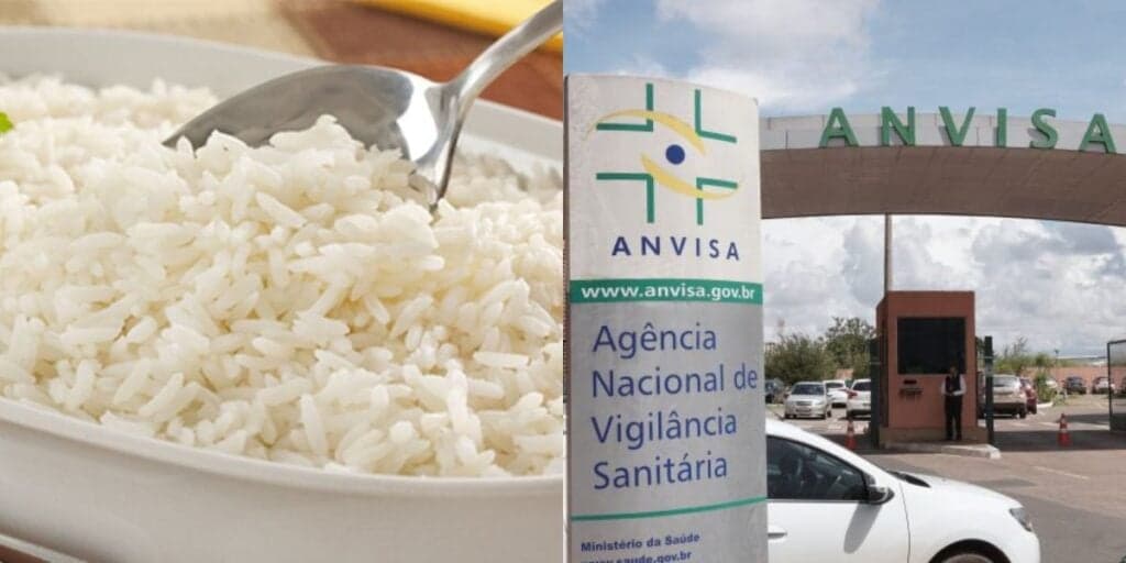 Fezes de rato e risco à saúde: Anvisa proíbe marca famosa de arroz, arranca dos mercados e situação HOJE (05)