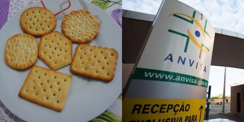 Barrada pela Anvisa: Fábrica de biscoitos amada interditada por falta de higiene e sua situação hoje
