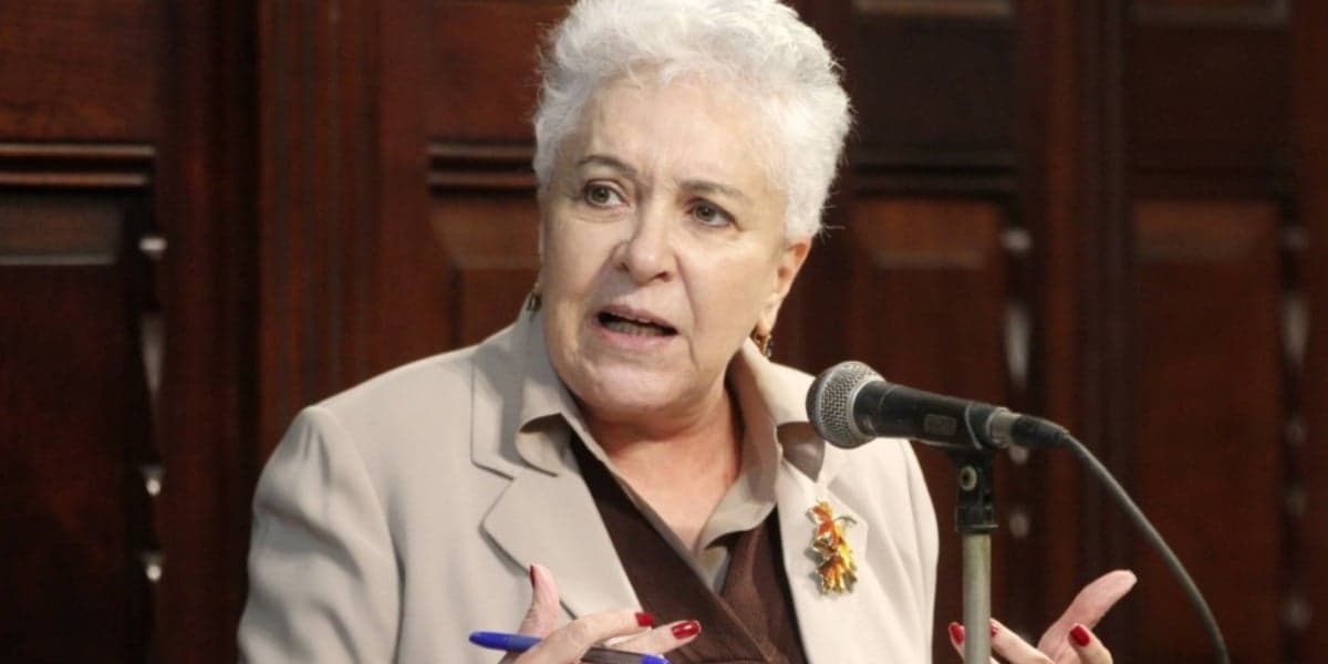 Cidinha Campos já trabalhou no Fantástico (Foto: Reprodução/ Internet) Cidinha Campos já trabalhou no Fantástico (Foto: Reprodução/ Internet)