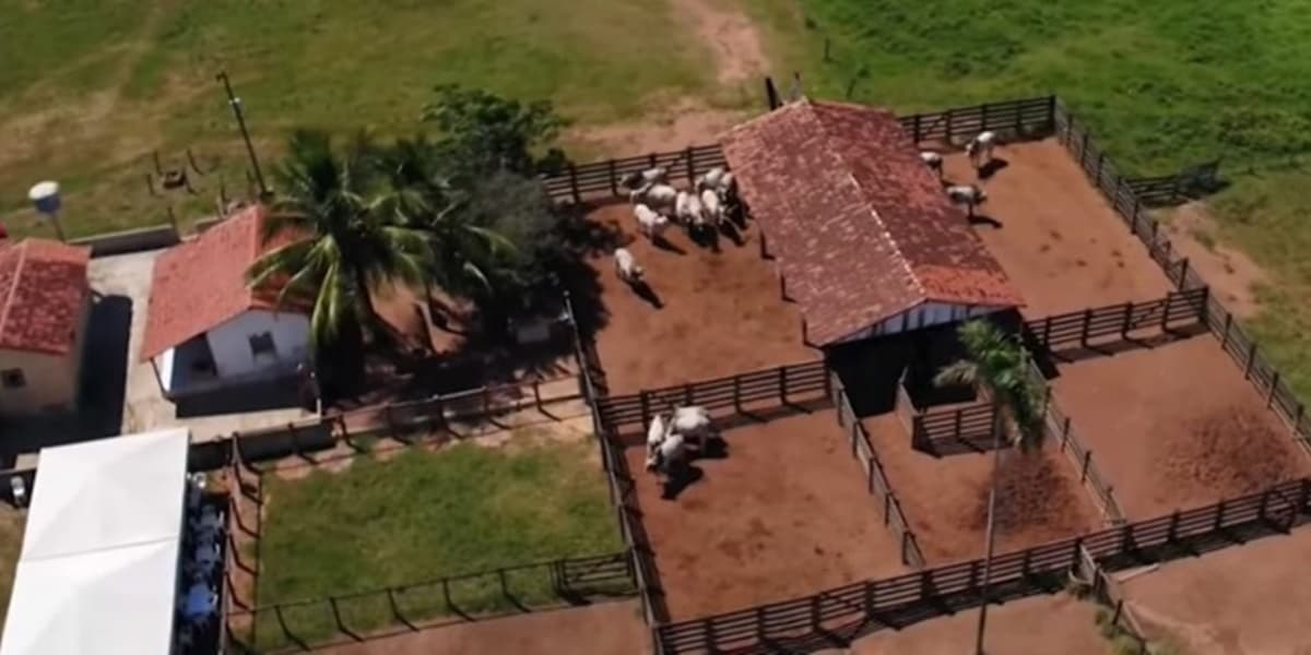 Chitãozinho fazenda