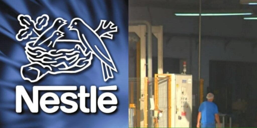 Dívida de 220 milhões e até 'fraude': A falência de rival da Nestlé confirmada durante jornal da Globo