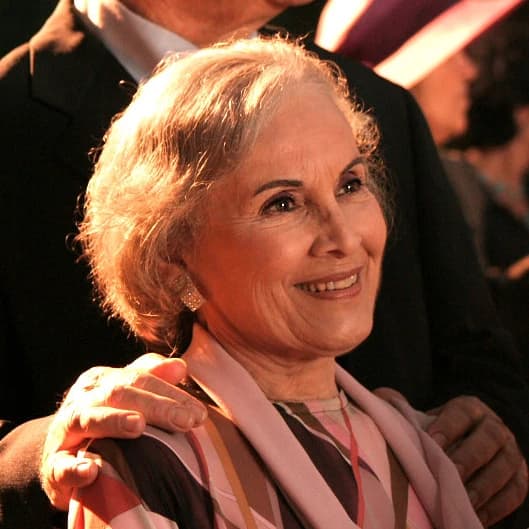 http://tvfoco.uai.com.br/wp-content/uploads/2015/05/Daniela-Mercury.jpg