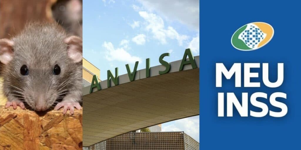 Fezes de rato em marca de comida; Produto que causa cegueira vetado pela Anvisa; Aposentadoria do INSS aos 50