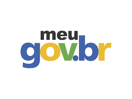 Site do Governo Meu Gov.BR (Foto: Reprodução, Gov)
