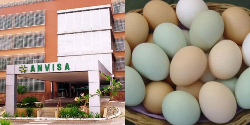 Risco à saúde e venda PROIBIDA pela ANVISA: A marca de ovos arrancada dos mercados e situação hoje (11)