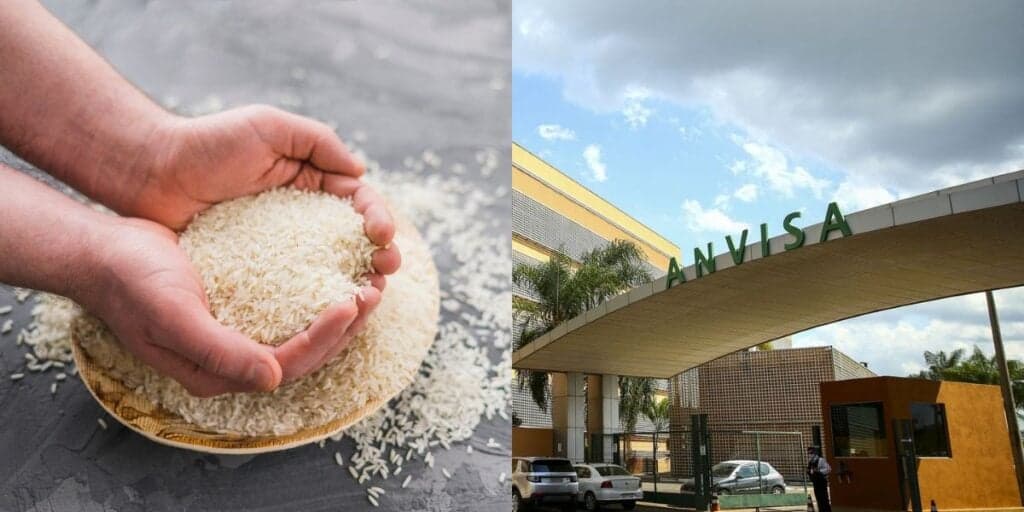 Contaminado com fezes de rato: A marca de arroz arrancada dos mercados pela Anvisa e situação hoje (11)