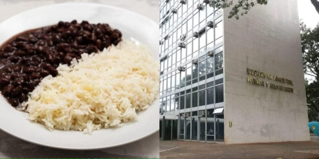 ALERTA nos mercados: Arroz, feijão e mais 3 produtos estão sendo fraudados e podem estar na sua casa AGORA