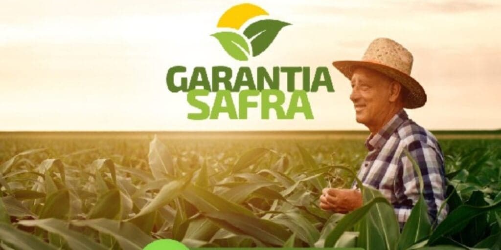 Garantia-Safra é uma ação do Governo Federal pago pela Caixa (Foto: Divulgação/Secretaria de Agricultura)