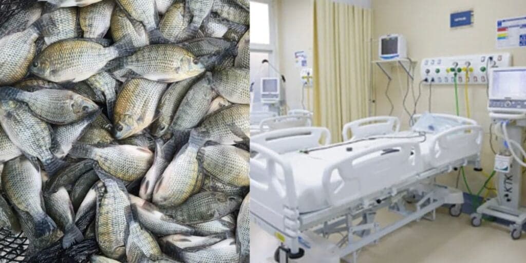 Risco de morte: Peixe famoso nos mercados do Brasil pode causar infecção generalizada e amputação de membros