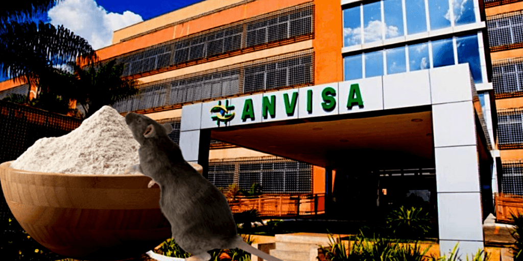 Pelo de rato e risco à saúde: A intervenção da ANVISA em marca de farinha amada e situação hoje (19)