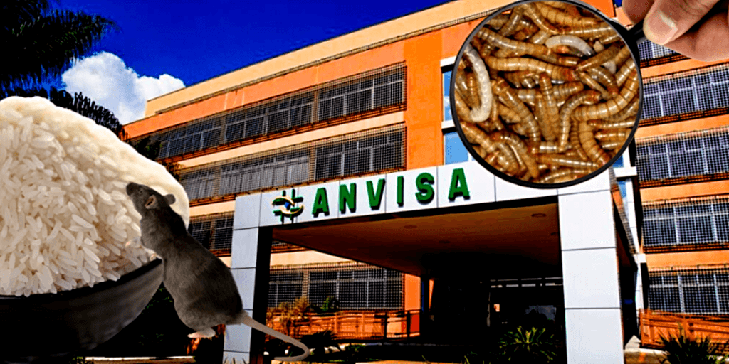 Fezes de rato e larvas: A marca de arroz arrancada com urgência do mercado pela ANVISA e situação atual