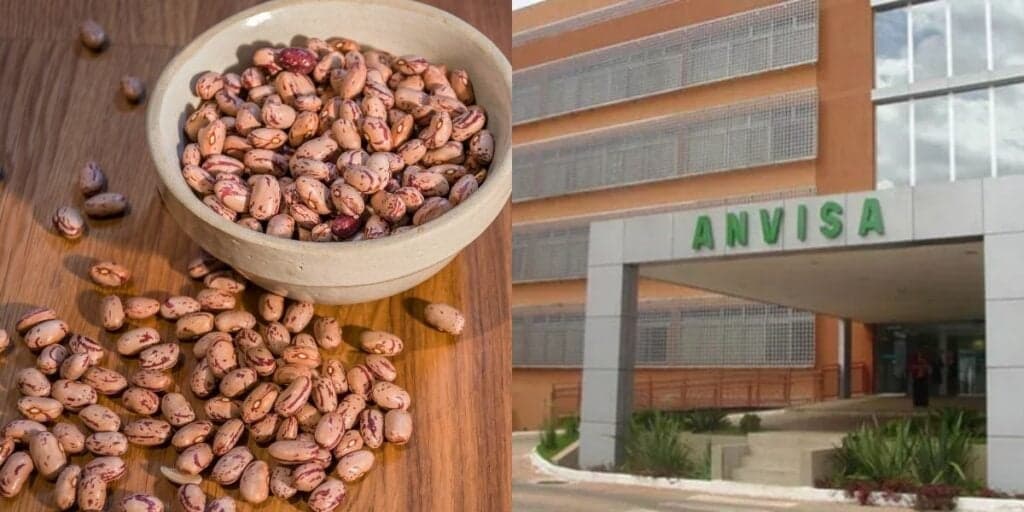 Ingrediente TÓXICO: As marcas de feijões PROIBIDAS pela ANVISA, arrancada dos mercados e situação HOJE (17)