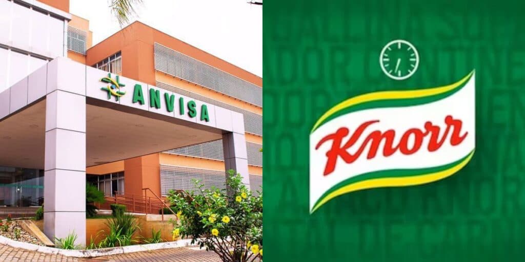Inseto e pelo de rato: A proibição da ANVISA contra rival da Knorr, retirada de mercados e situação hoje (10)