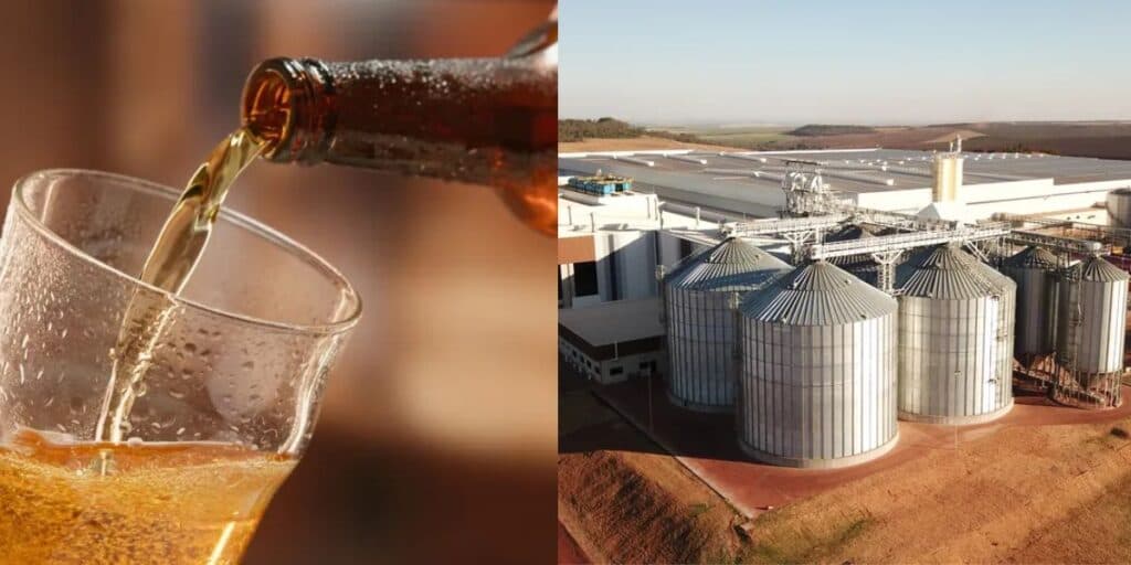 Dívida de R$ 4 bilhões e à beira da falência: Cerveja que você provavelmente ama, respira por aparelhos