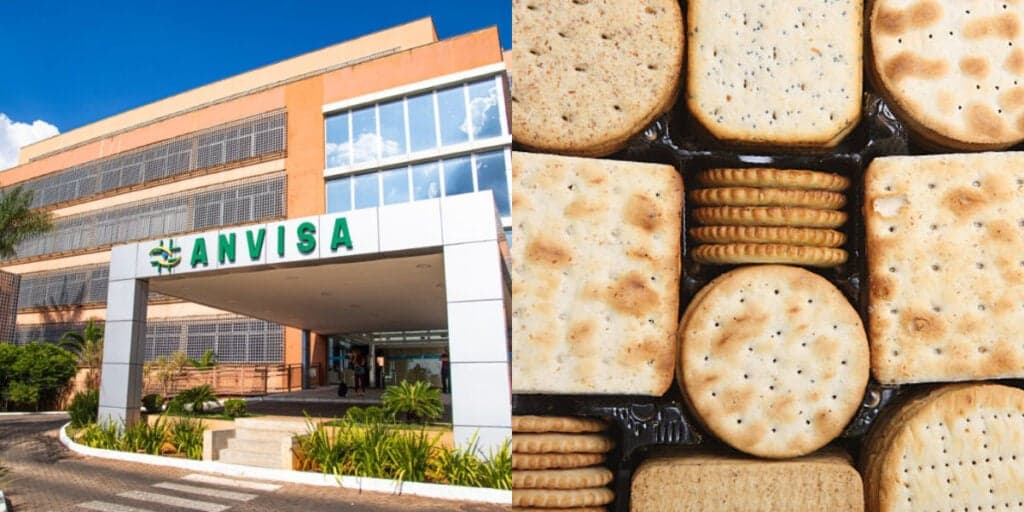 BARRADA PELA VIGILÂNCIA SANITÁRIA:  A interdição de fábrica de biscoitos amada por falta de higiene e a situação HOJE