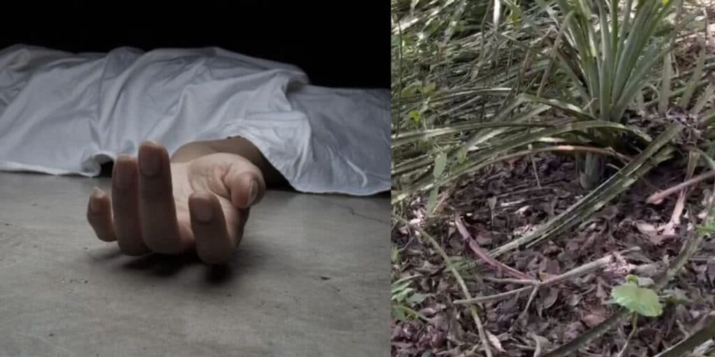 Plano macabro e ossada encontrada no meio da mata: Menina de 8 anos está desaparecida e suspeito é assassinado