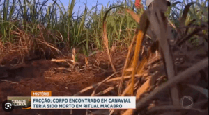 O corpo de Bruno foi encontrado desmembrado perto de rodovia - Foto RecordTV