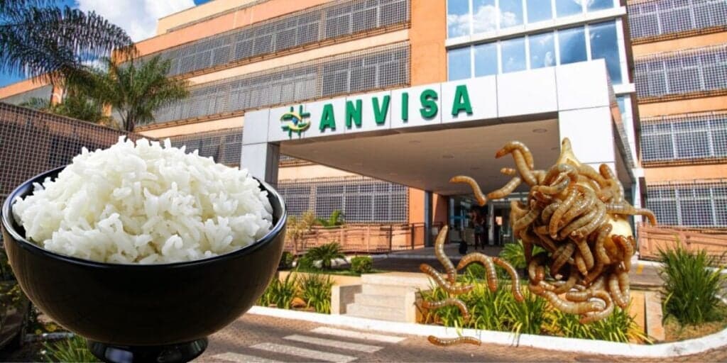 Pelo de rato e larvas: A marca de arroz arrancada das prateleiras pela Anvisa e atual situação da empresa