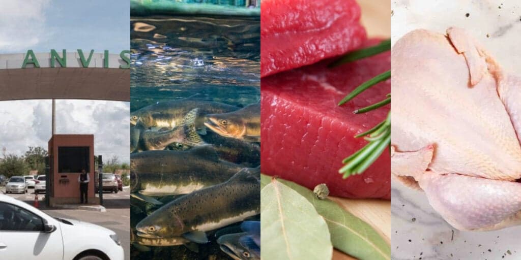 Substância fatal: As marcas de frango, carne e peixe PROIBIDAS pela ANVISA e decreto HOJE (19)