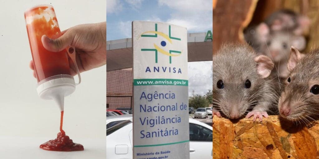 FEZES DE RATO: A marca famosa de Ketchut autuada de forma emergencial pela Anvisa e a ordem baixada em 2023