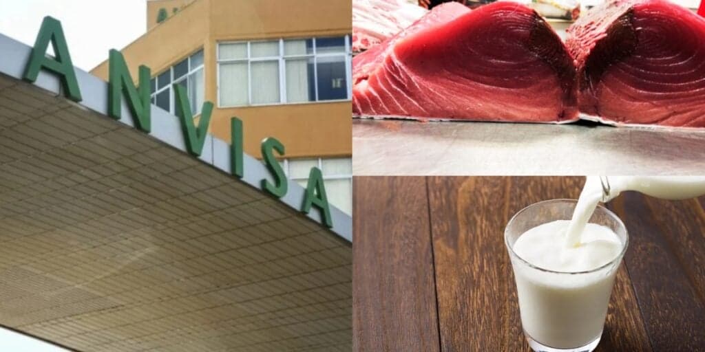 De peixe à leite: As 3 marcas famosas proibidas pela ANVISA em 2023 e retirada de mercados às pressas